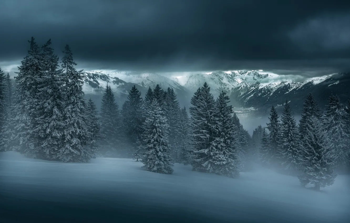 Фото обои зима, лес, снег, горы