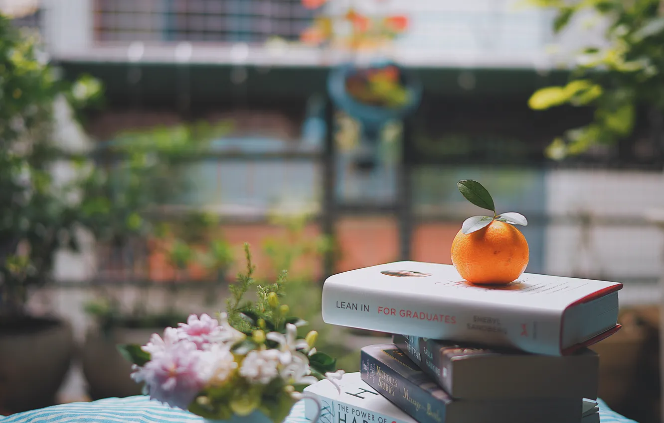 Фото обои цветы, улица, книги, апельсин