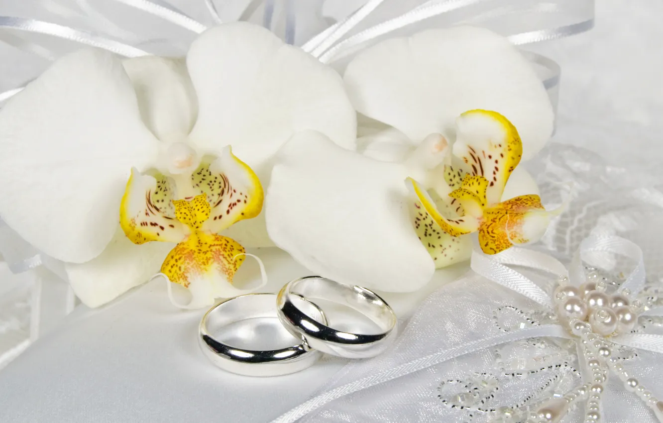 Фото обои цветы, кольцо, кружева, белые, орхидеи, бант, Orchid, Jewelry