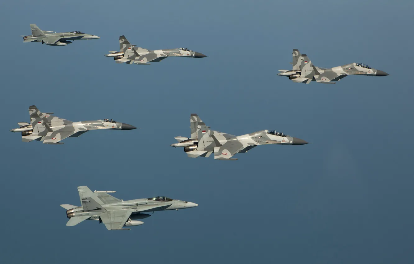 Фото обои Небо, Полёт, sky, Истребители, Су-27, F-18, Su-27, ВВС Индонезии