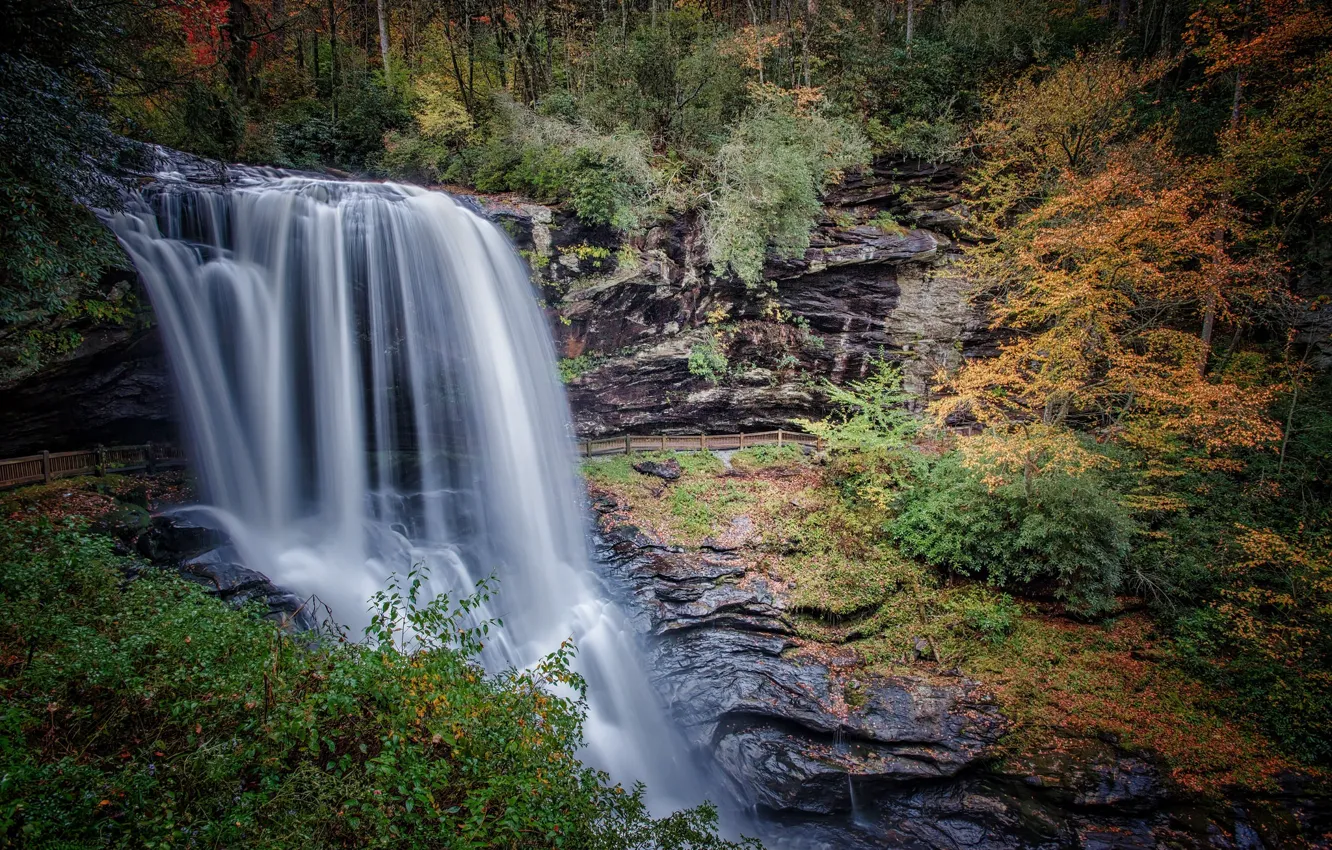 Фото обои осень, вода, водопад, поток