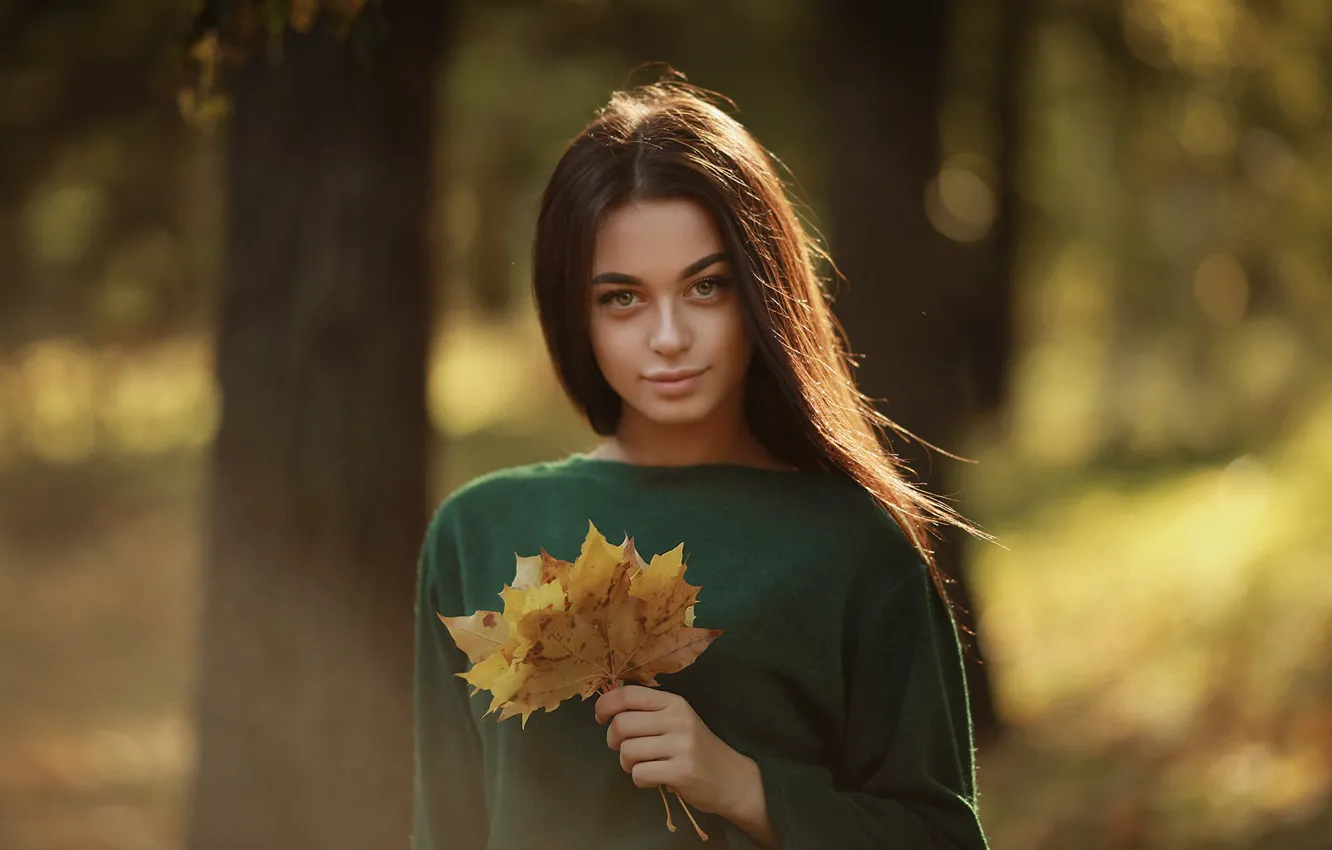 Фото обои осень, взгляд, девушка, лицо, портрет, кленовые листья, боке, Арина