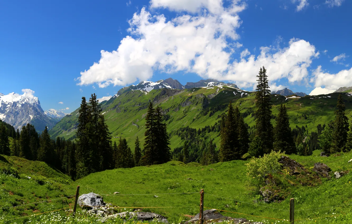 Фото обои небо, облака, деревья, горы, Швейцария, Альпы