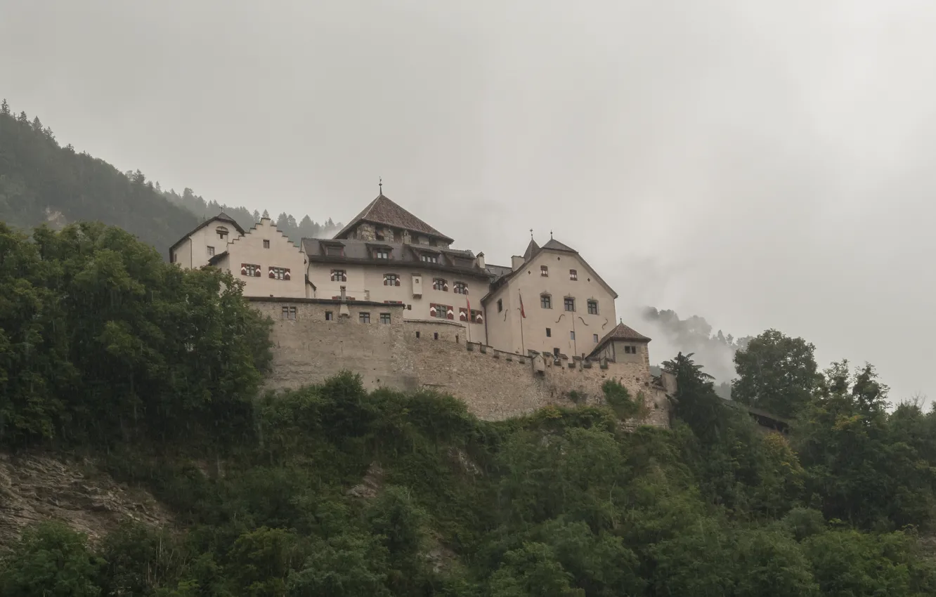 Фото обои лес, небо, деревья, дождь, пасмурно, Liechtenstein, Лихтенштейн, Vaduz Castle
