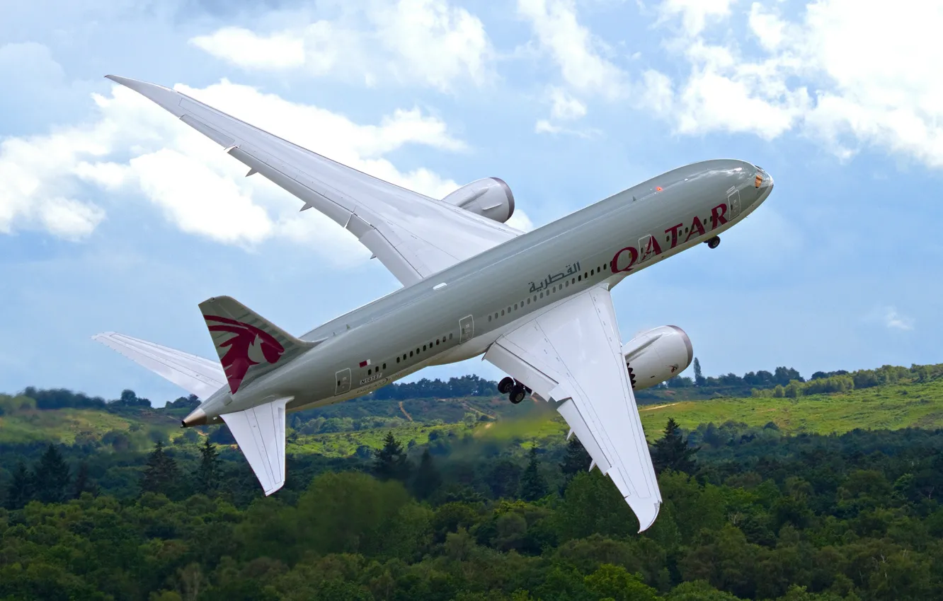 Фото обои лес, небо, самолёт, взлет, реактивный, пассажирский, Dreamliner, Boeing 787
