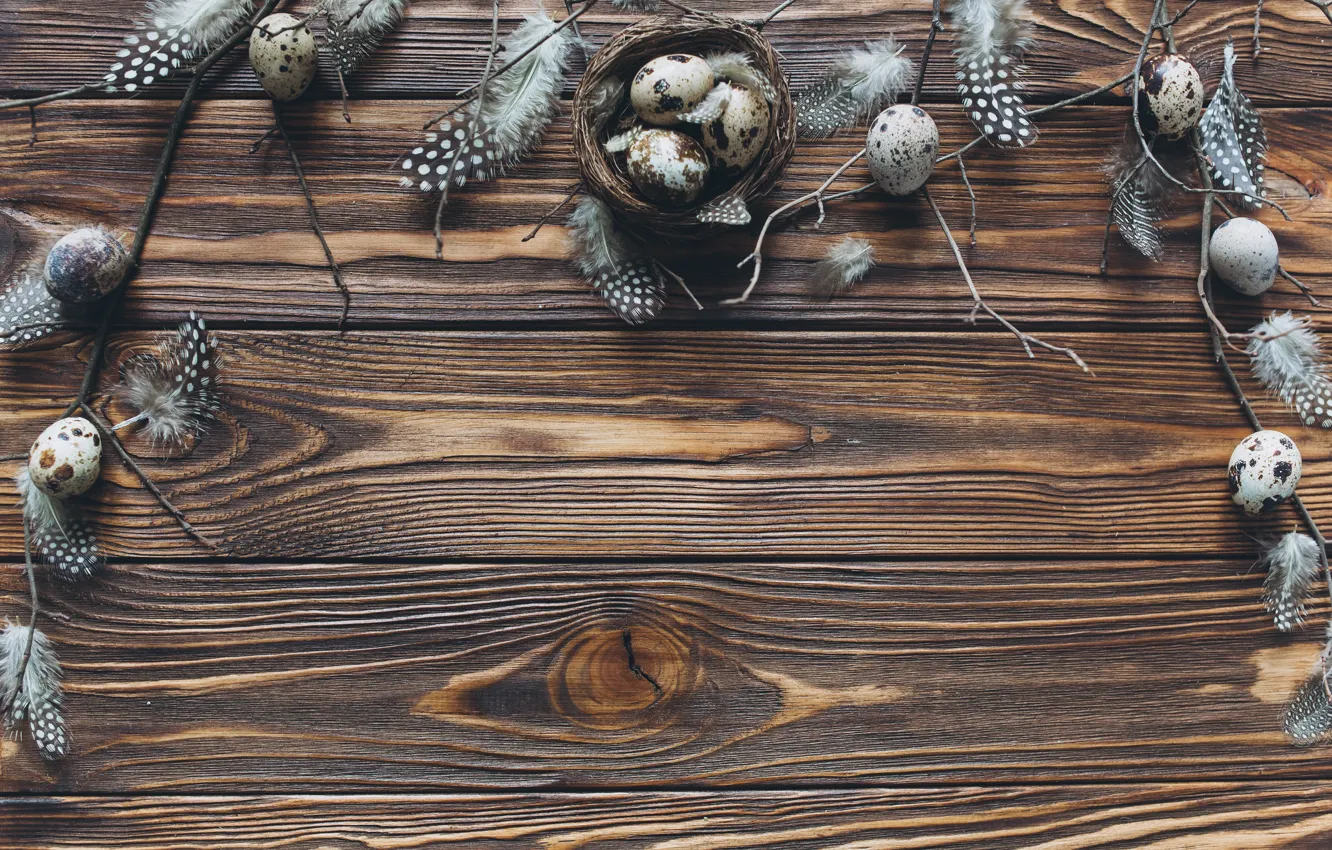 Фото обои яйца, перья, Пасха, wood, spring, Easter, eggs, decoration