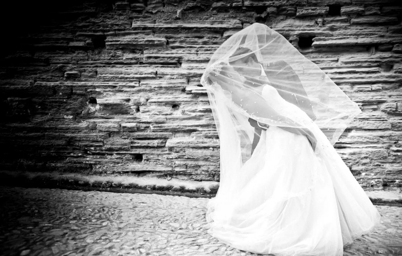 Фото обои женщина, платье, черно-белое, мужчина, влюбленные, двое, невеста, фата