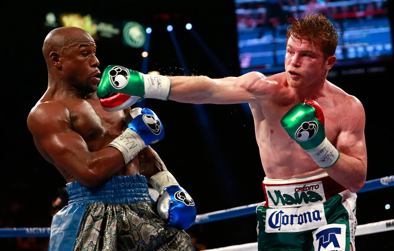Фото обои бокс, Floyd Mayweather, Флойд Мейвезер, Сауль "Канело" Альварес, Canelo Alvarez
