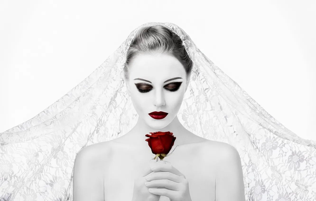 Фото обои девушка, роза, макияж, невеста