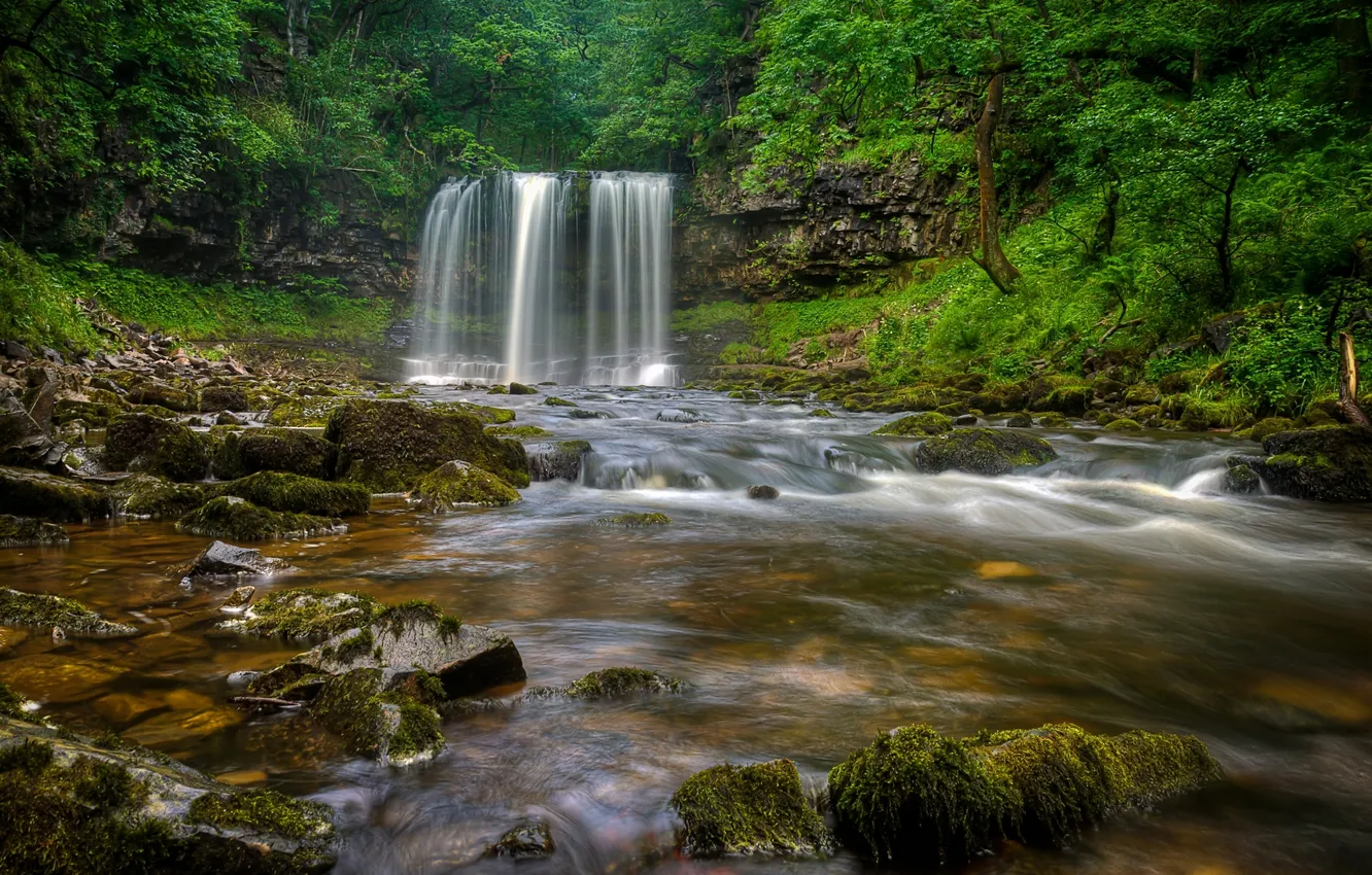 Фото обои лес, река, Англия, водопад, England, Уэльс, Wales, Brecon Beacons National Park
