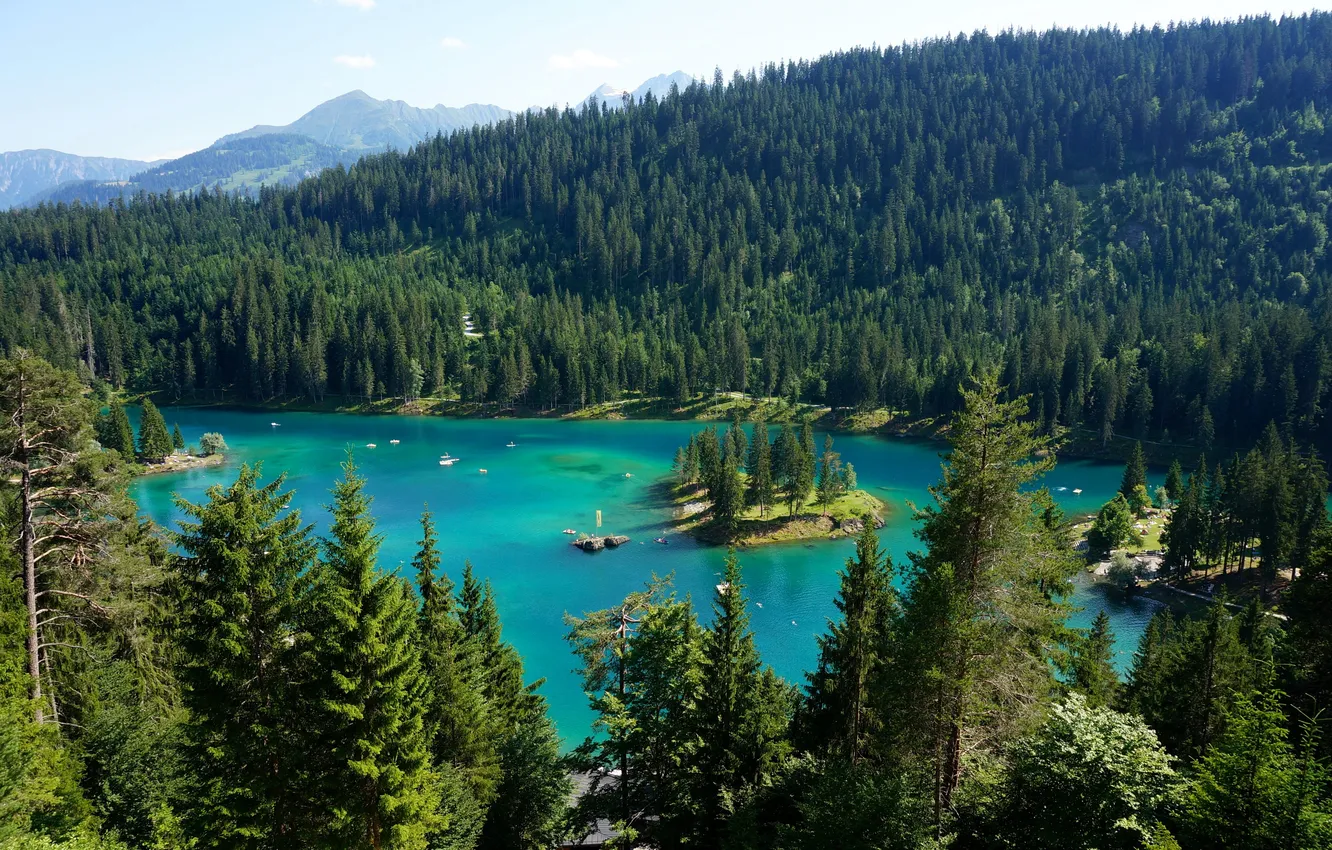 Фото обои лес, деревья, горы, озеро, Швейцария, Lake Maggiore, Ticino