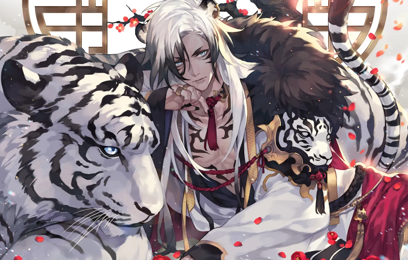 Фото обои тигр, парень, белый тигр