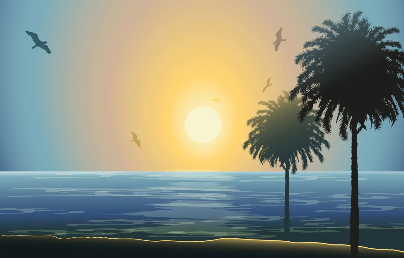 Фото обои море, солнце, закат, пальмы, чайки
