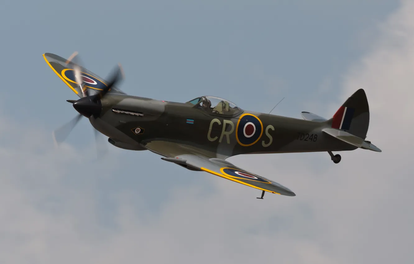 Фото обои небо, истребитель, самолёт, английский, WW2, Supermarine Spitfire Mk. XVIe