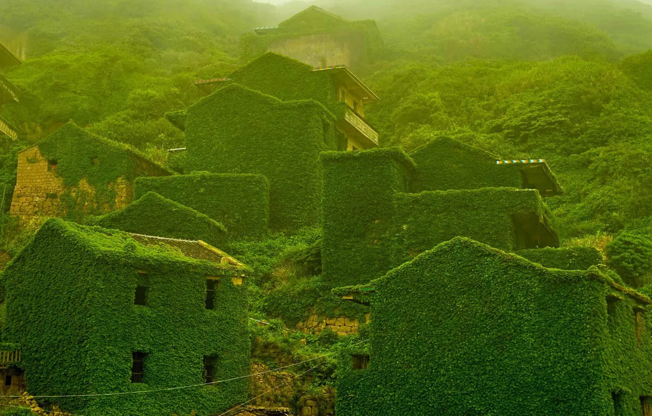 Фото обои дома, склон, Китай, остров Шенгшан, заброшенная деревня