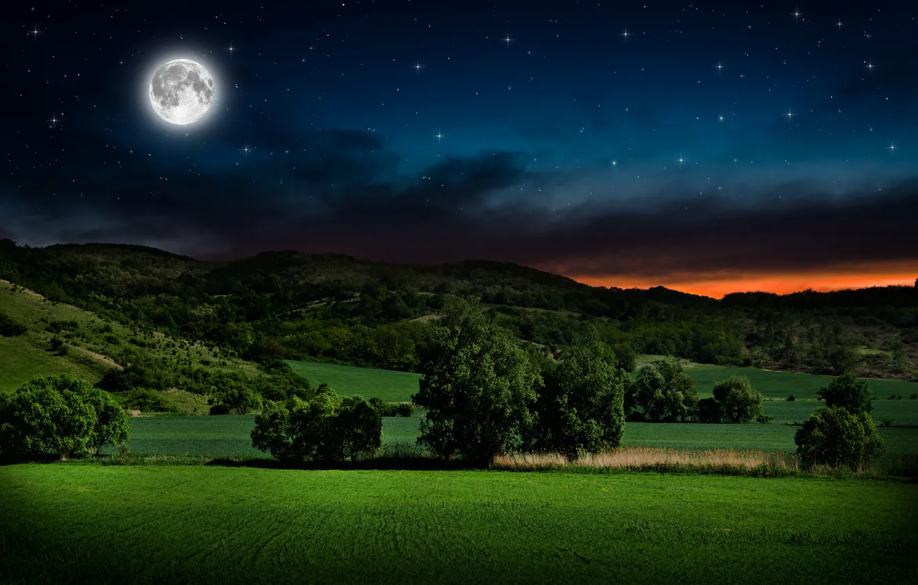 Фото обои звезды, деревья, пейзаж, ночь, холмы, безмятежность, луна, зарево