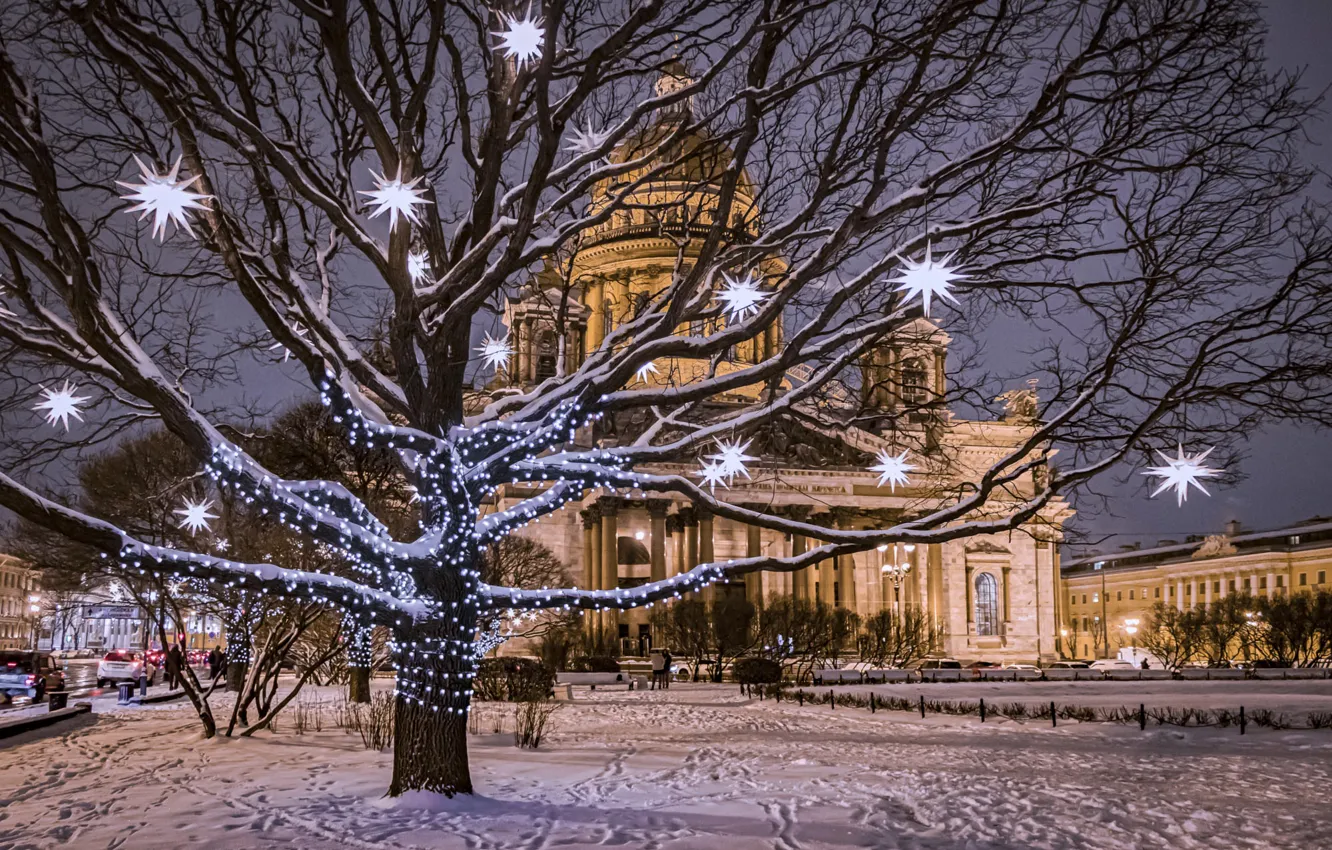 Фото обои зима, снег, деревья, город, вечер, Питер, площадь, Санкт-Петербург