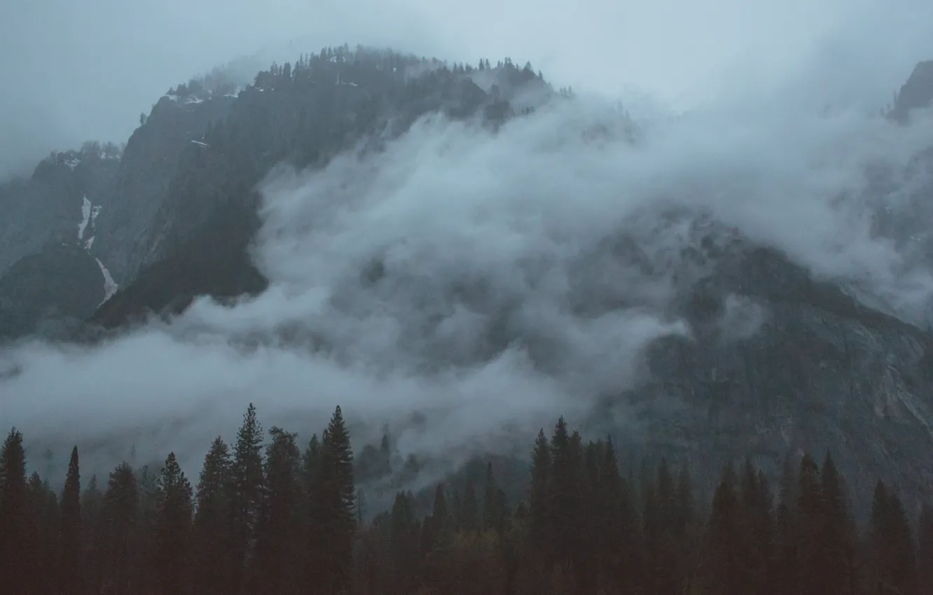 Фото обои небо, деревья, горы, природа, туман, скалы