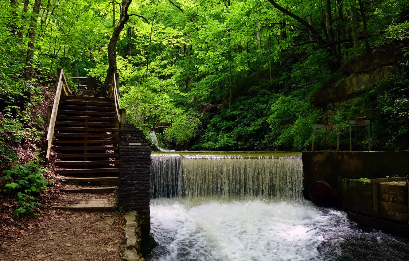 Фото обои зелень, лес, деревья, водопад, лестница, США, Spring Mill State Park