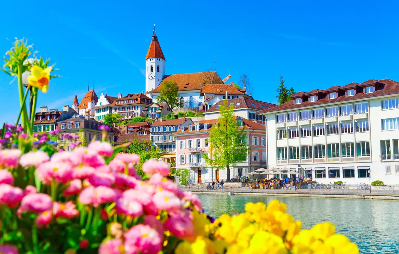 Фото обои цветы, река, здания, дома, Швейцария, набережная, Switzerland, река Аре