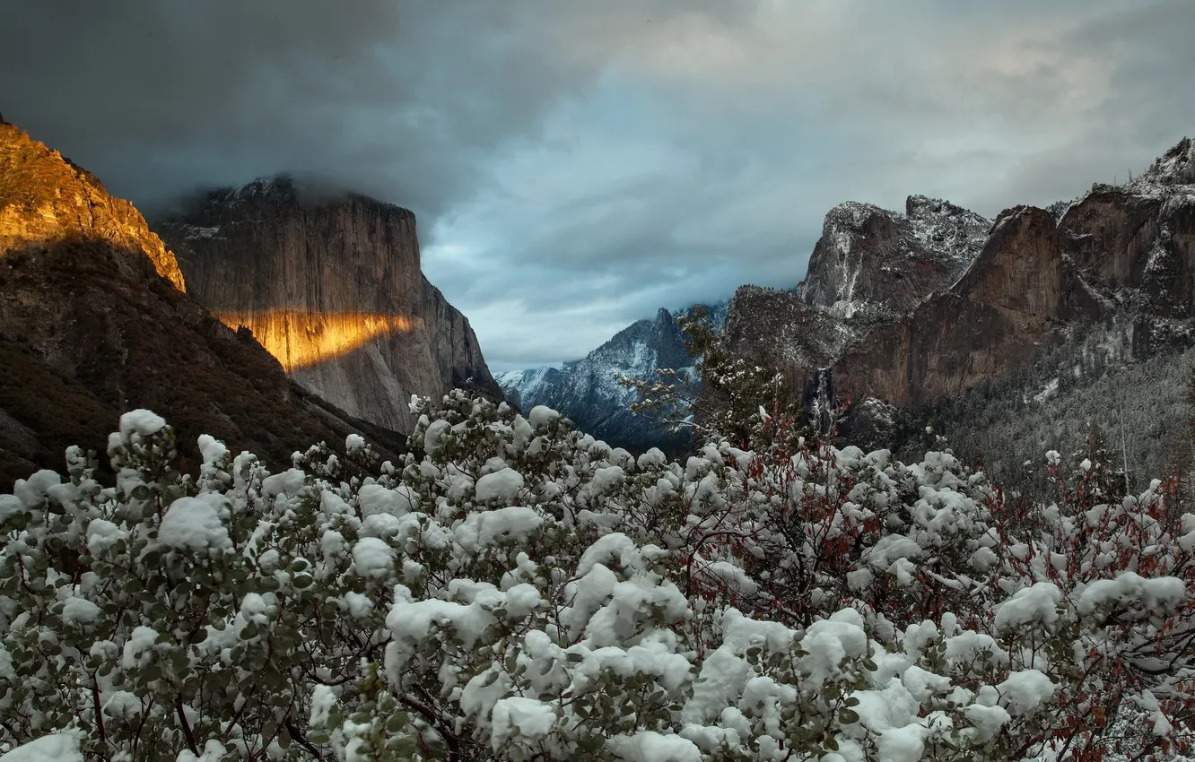 Фото обои Yosemite National Park, El Capitan, Unfolding, Cathedral Peaks