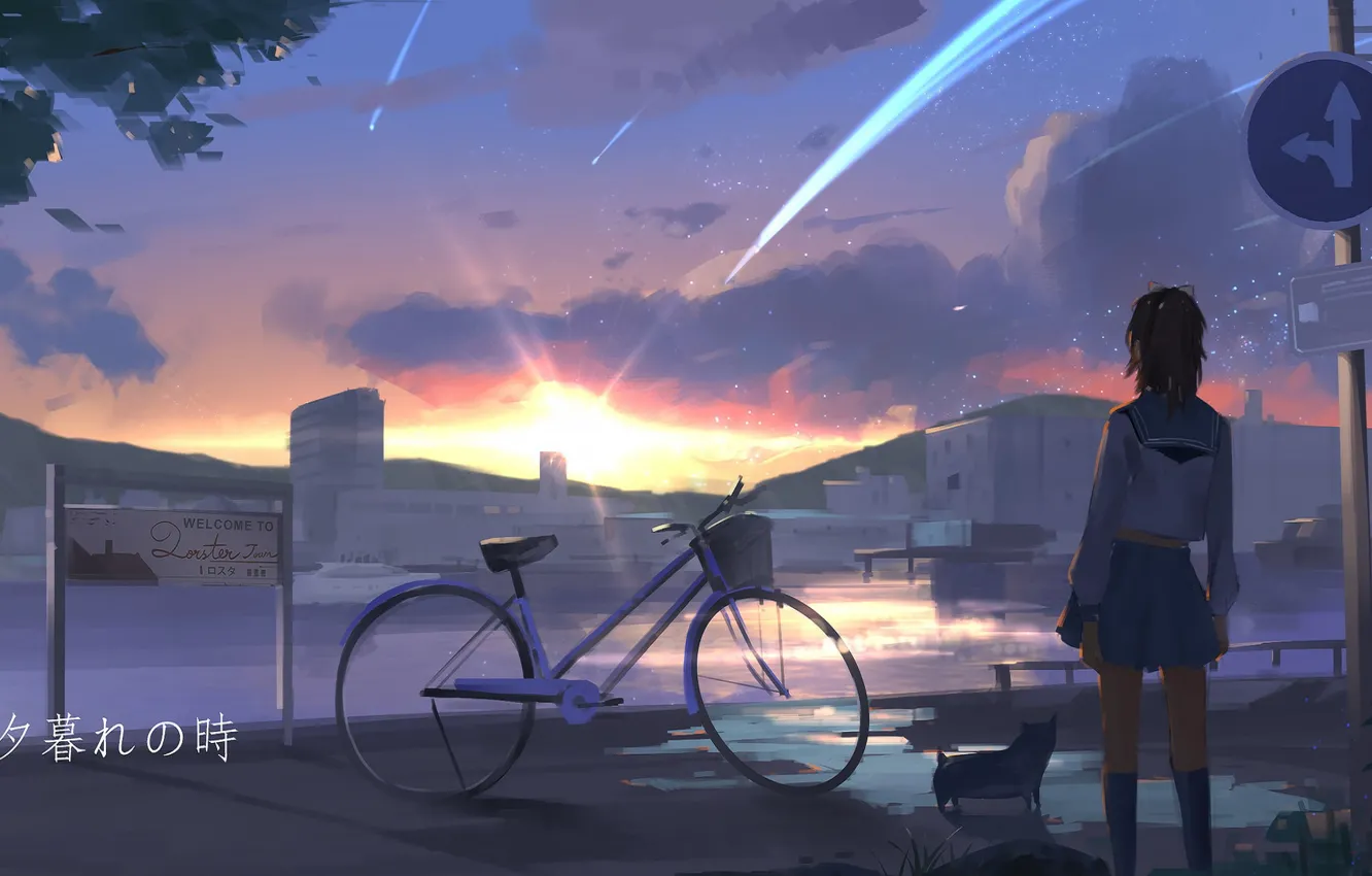 Фото обои дорога, велосипед, щенок, школьница, закат солнца, дорожный знак, матроска, со спины