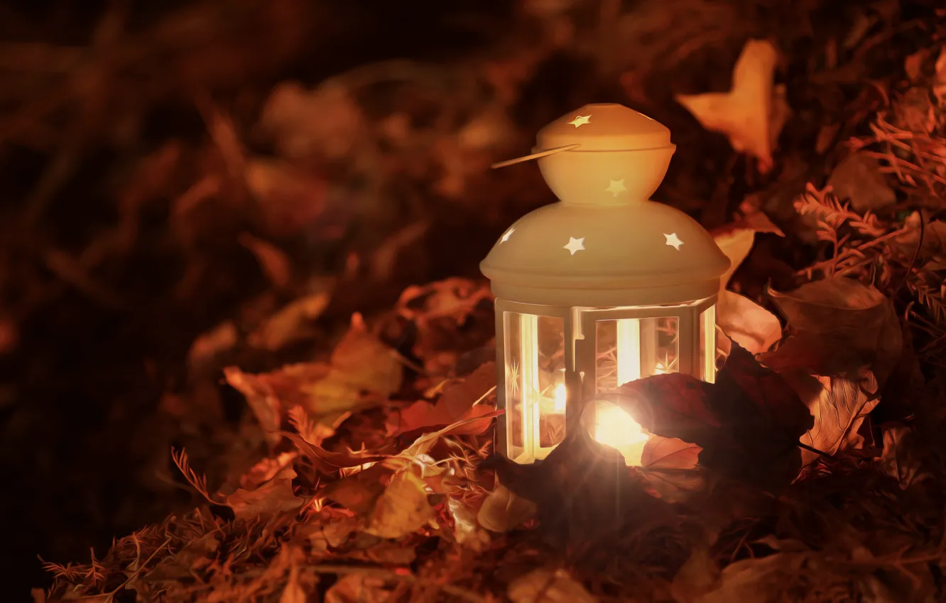 Фото обои осень, листья, свет, лампа