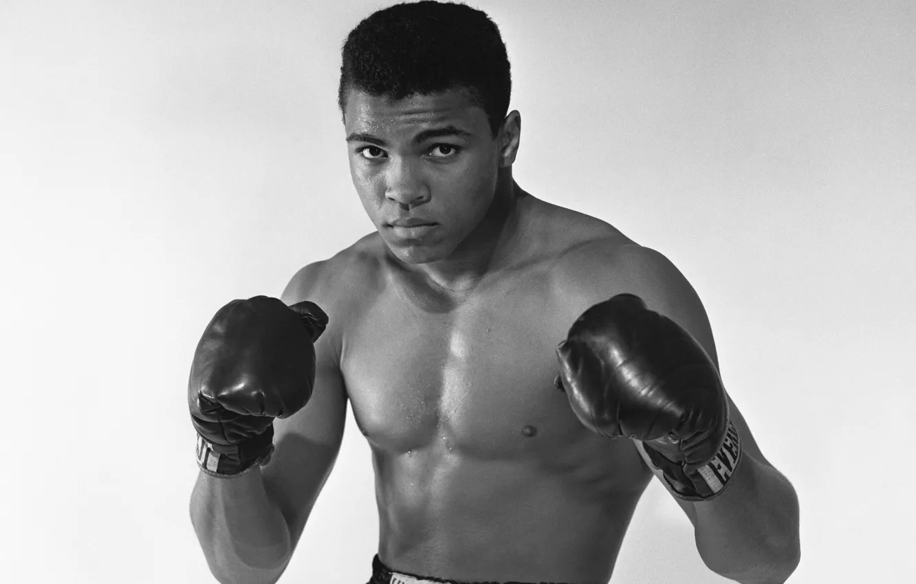 Фото обои Muhammad Ali, boxing, legend boxer, Cassius Marcellus Clay Jr