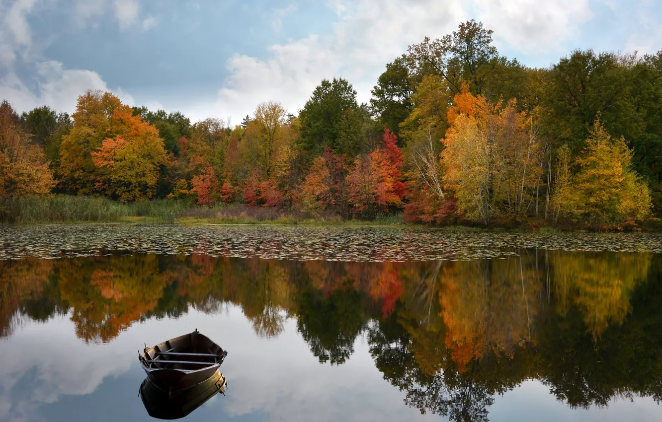 Фото обои осень, озеро, лодка