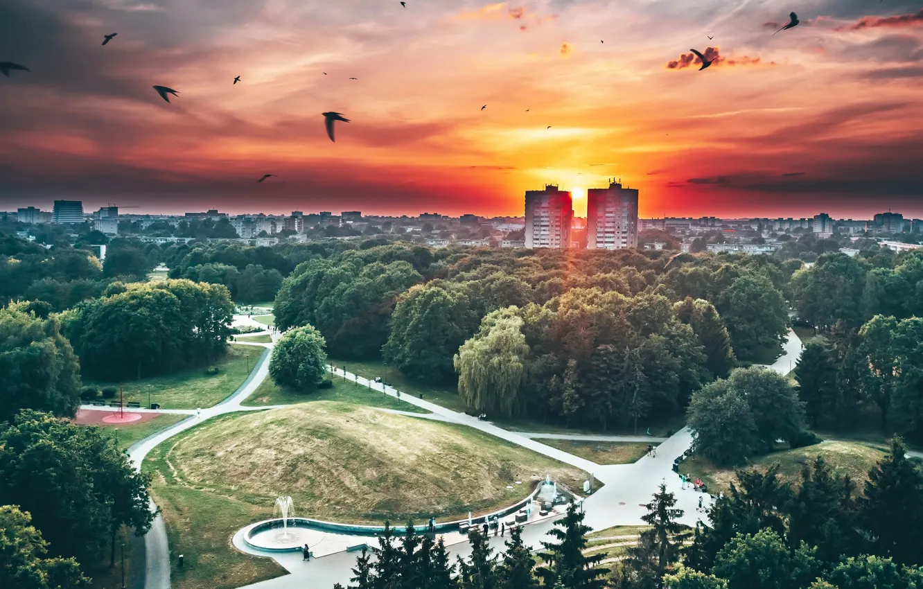 Фото обои Lietuva, Kaunas, paukščiai