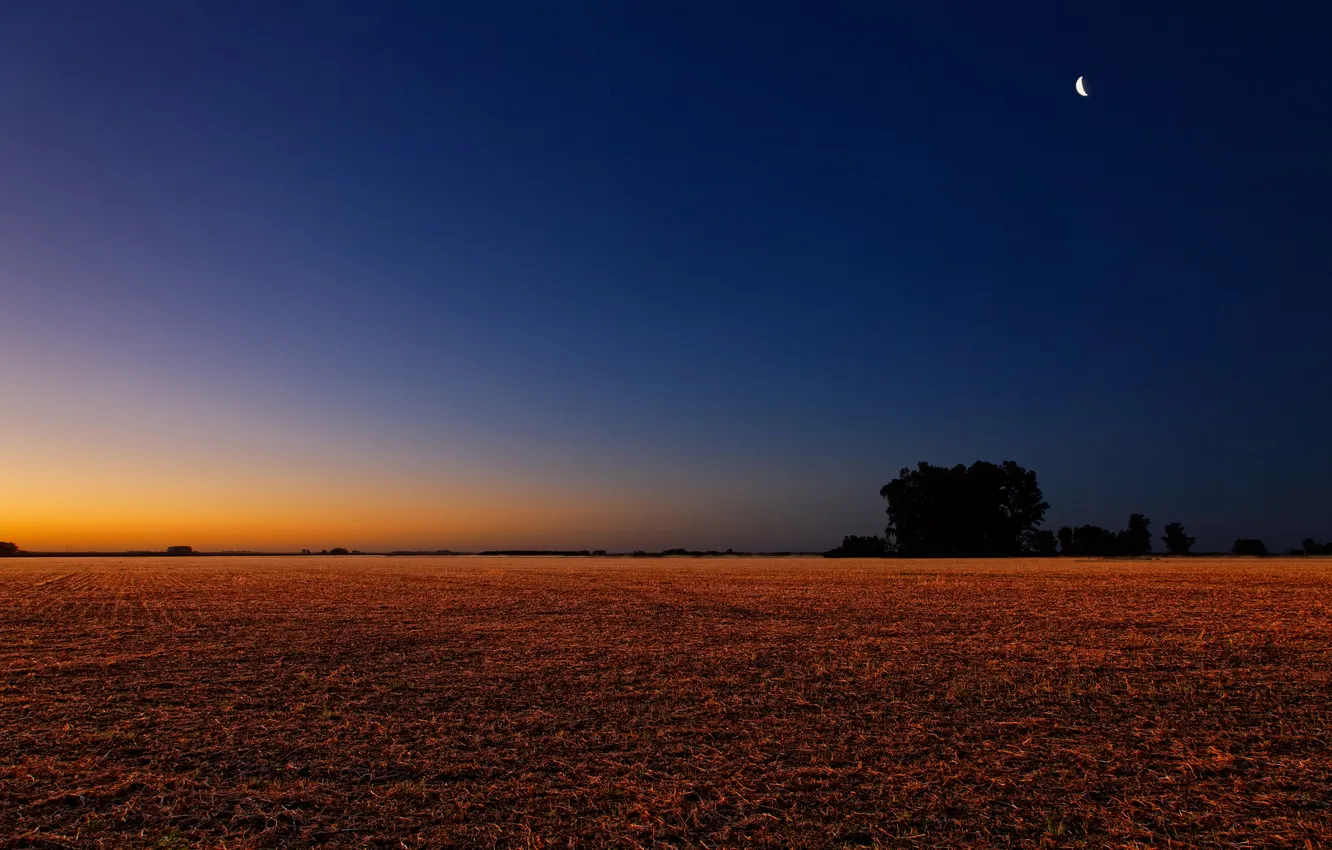 Фото обои поле, небо, закат, луна, вечер