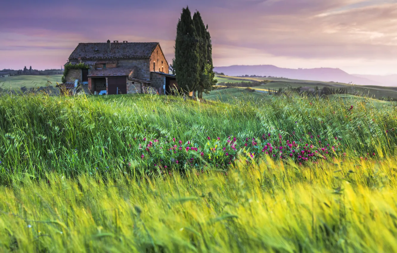 Фото обои поле, трава, Италия, домик, Тоскана
