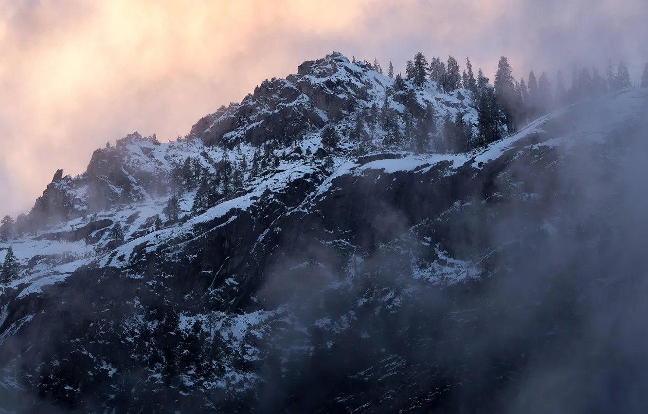 Фото обои зима, небо, снег, деревья, закат, горы, природа, туман