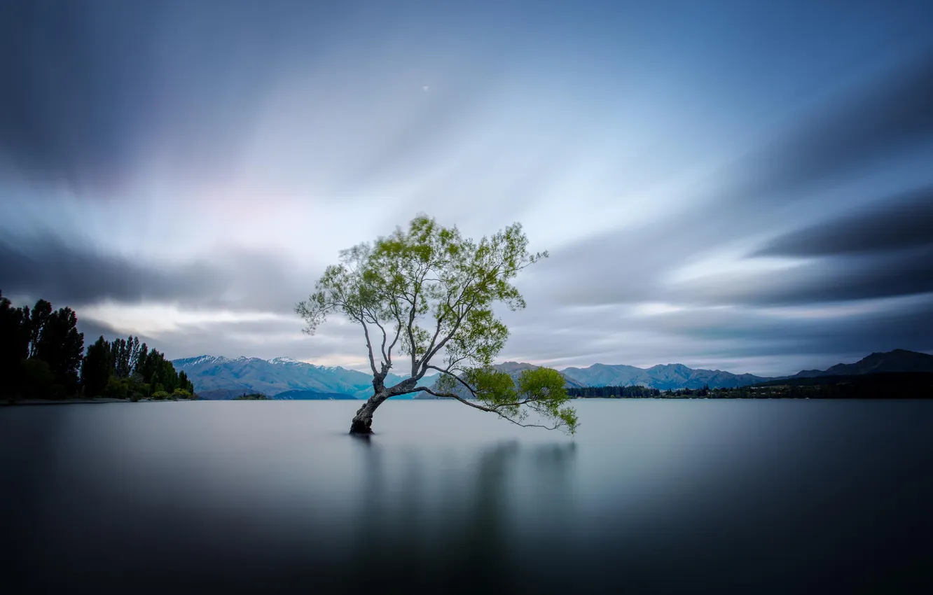 Фото обои природа, озеро, дерево, Новая Зеландия