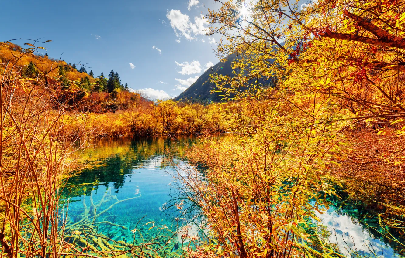 Фото обои осень, лес, деревья, горы, озеро, желтые, Китай, солнечно