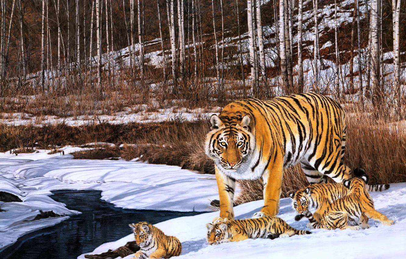 Фото обои зима, лес, снег, рисунок, картина, арт, живопись, тигры