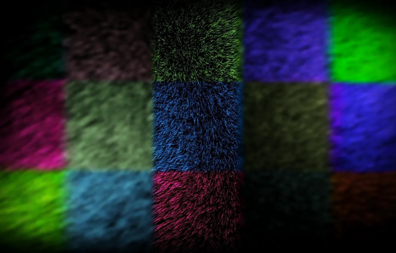 Фото обои шерсть, мех, разноцветный, квадрат