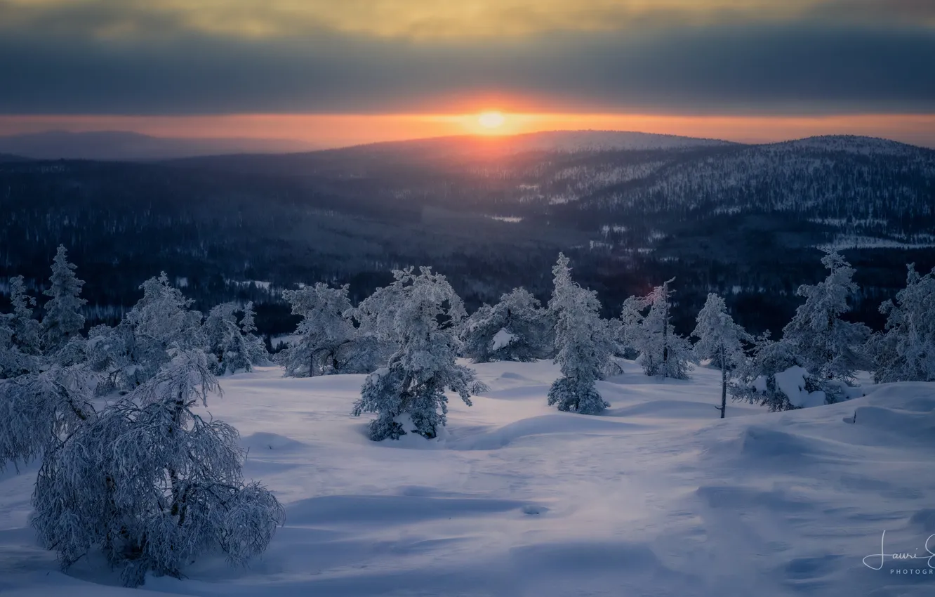 Фото обои зима, снег, деревья, закат, горы, холмы, сугробы, Финляндия