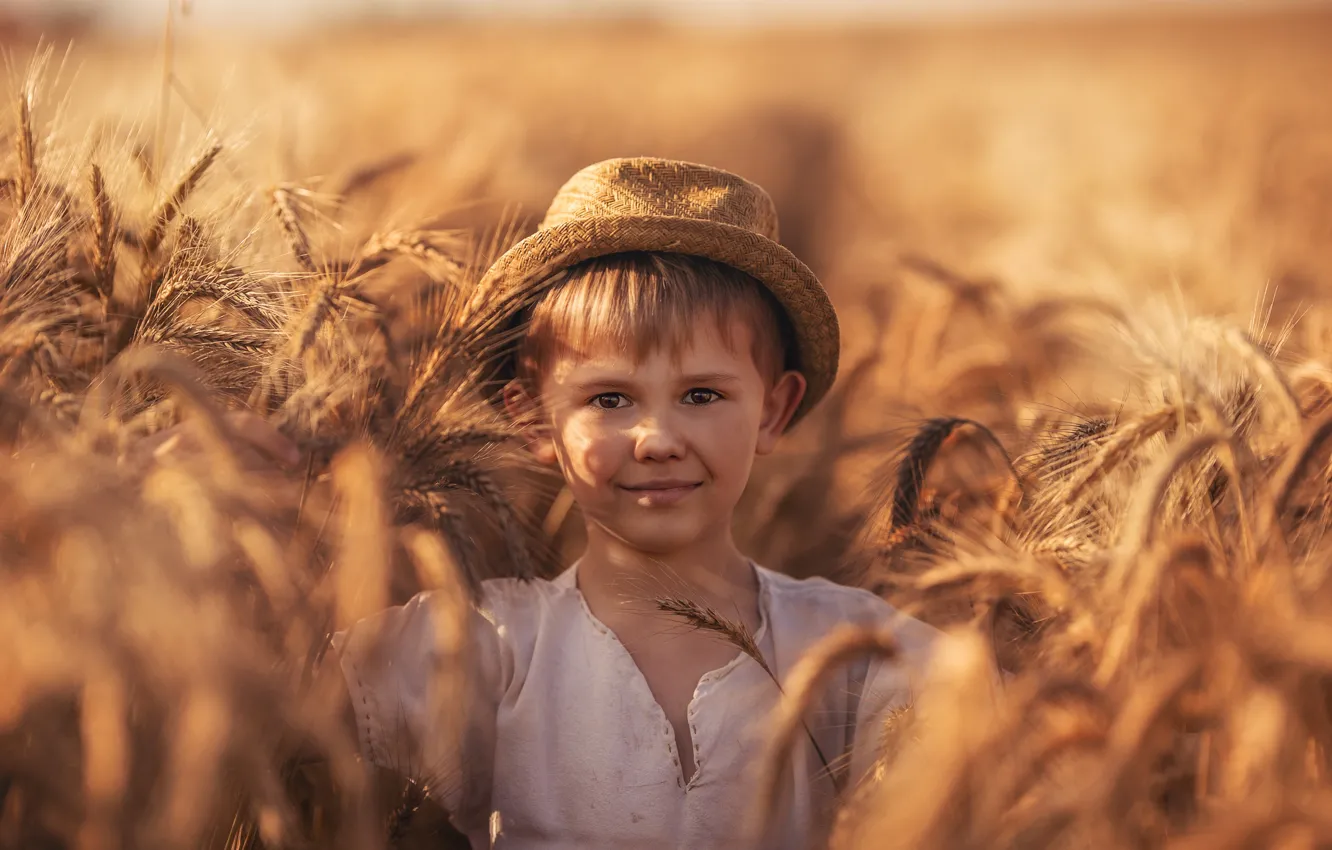 Фото обои лето, взгляд, свет, природа, лицо, стиль, ретро, рожь