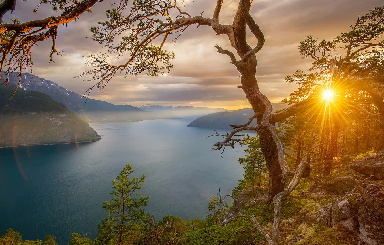Фото обои деревья, закат, горы, камни, скалы, Норвегия, залив, лучи солнца