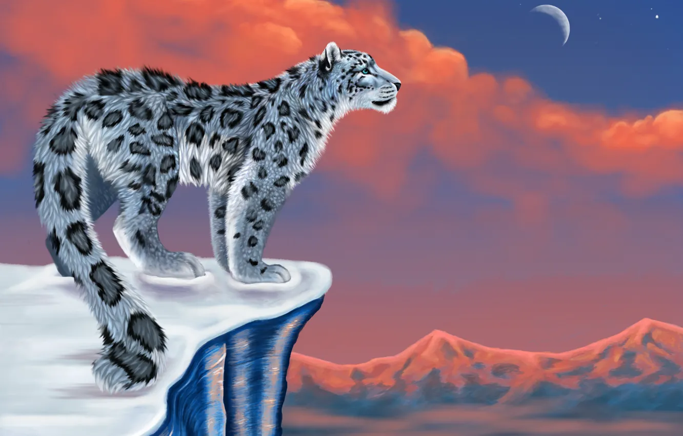Фото обои снег, горы, луна, рисунок, ирбис, снежный барс, snow leopard