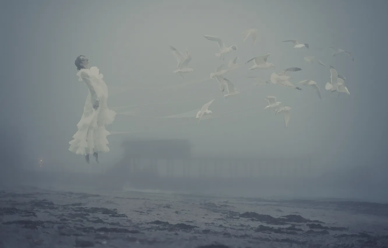 Фото обои море, девушка, туман, берег, чайки