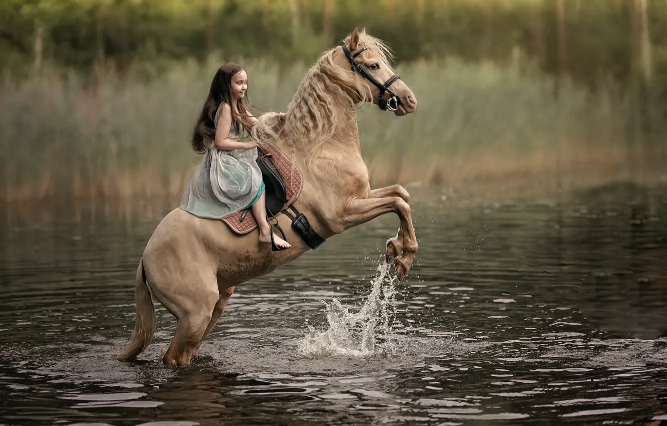 Фото обои река, конь, девочка