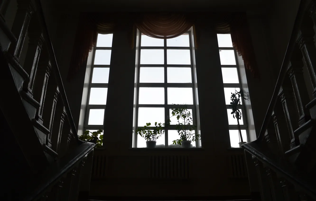 Фото обои цветы, окно, лестница, подоконник, шторы