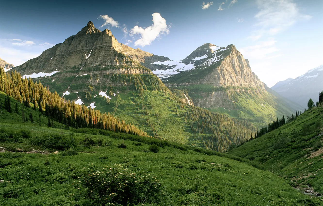 Фото обои зелень, горы, склоны, утро, лесок