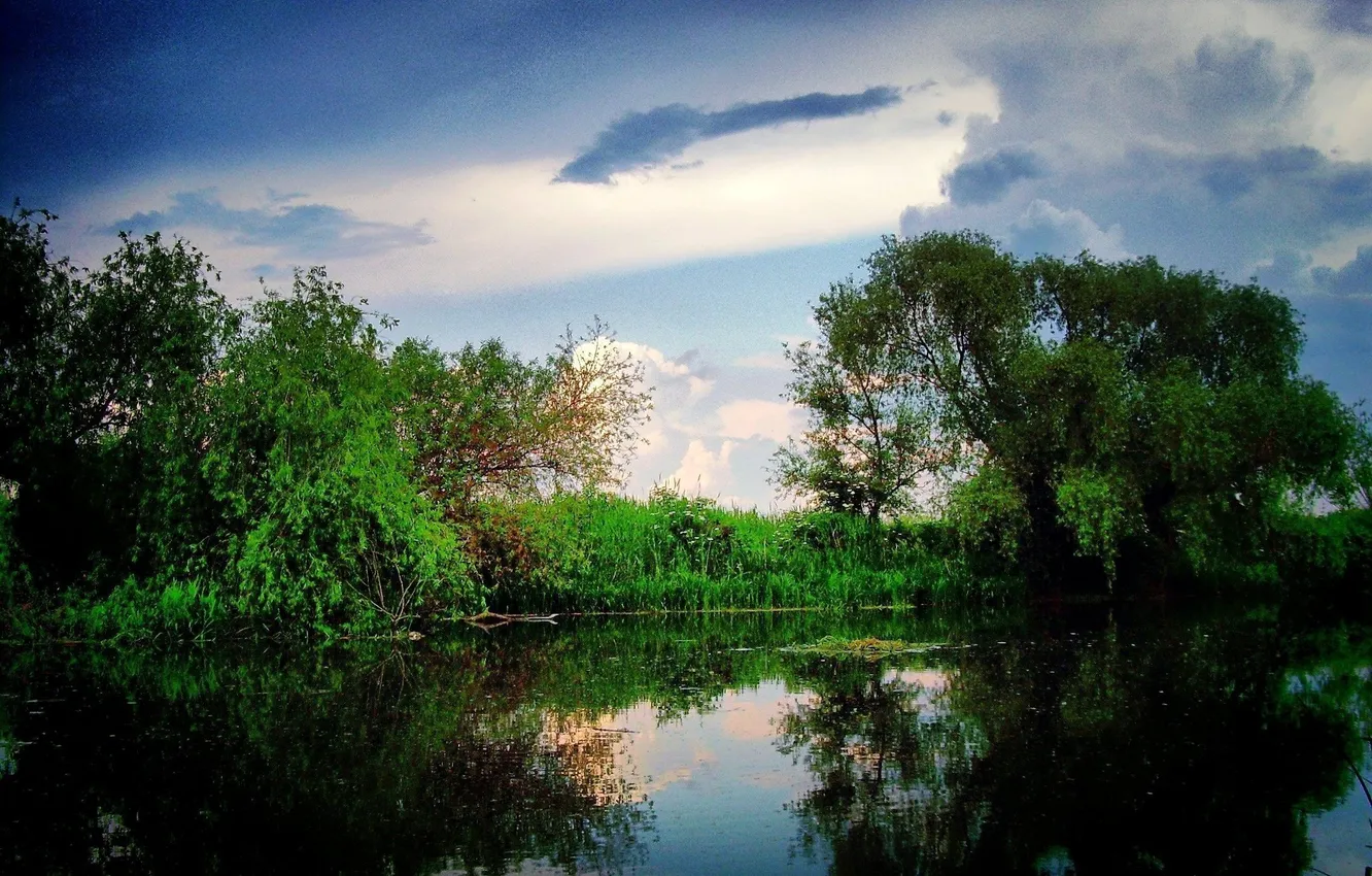 Фото обои небо, облака, деревья, озеро, природа .