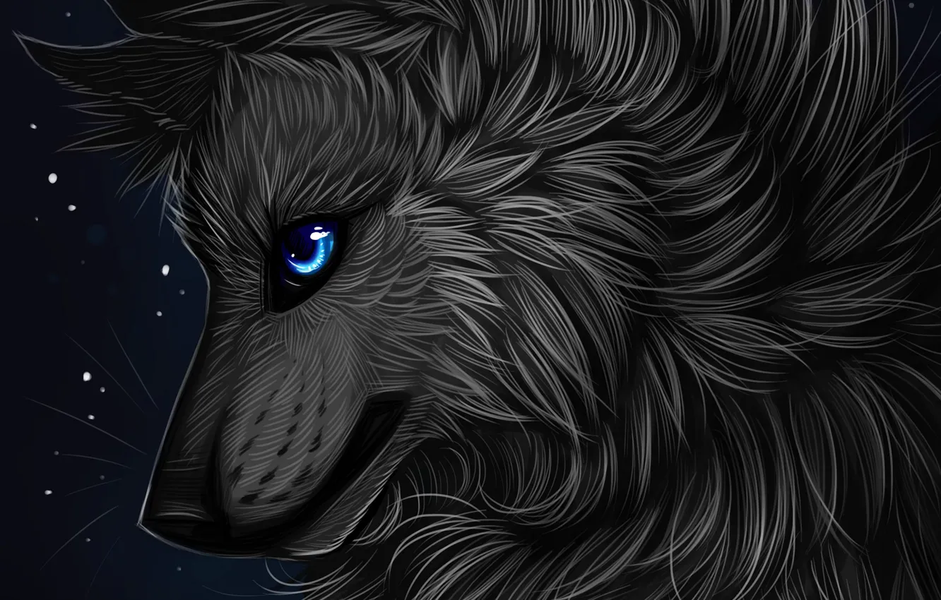 Фото обои профиль, myarukawolf, by myarukawolf, чёрный волк
