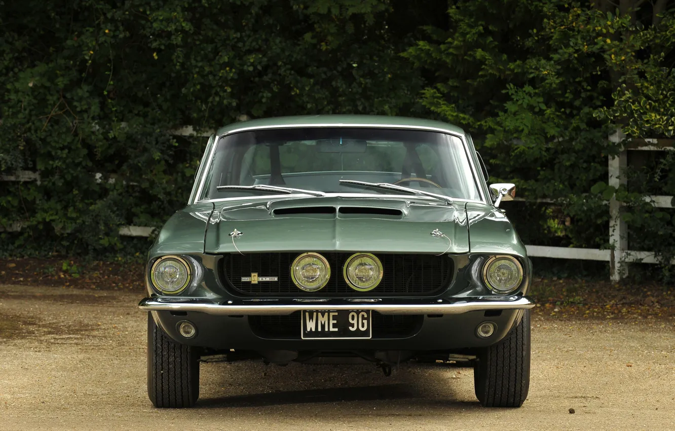 Фото обои Ford Mustang, 1967, Muscle Car, Shelby GT350