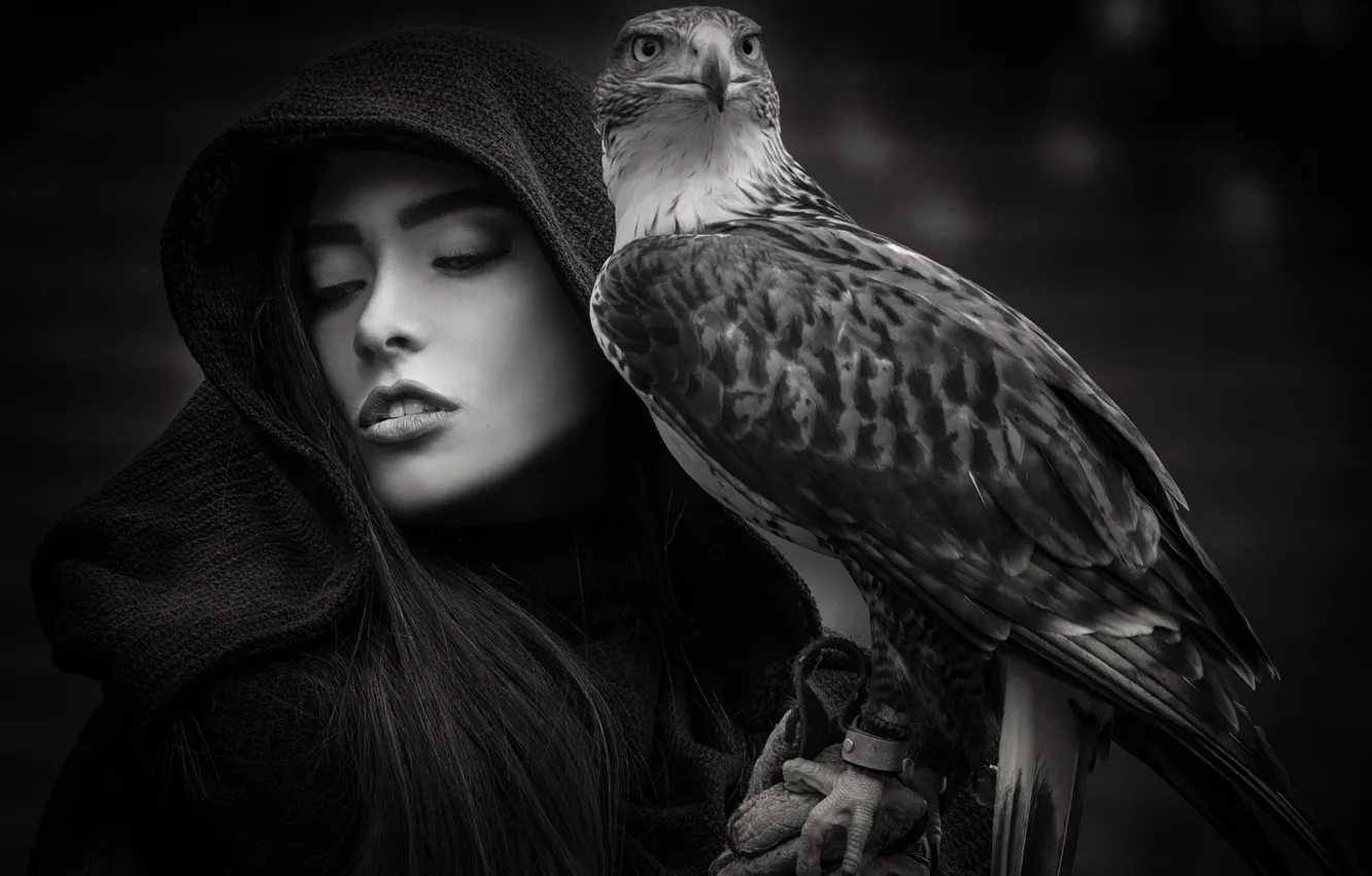 Фото обои девушка, птица, Joachim Bergauer, The Protector