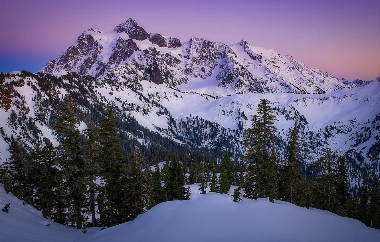 Фото обои снег, деревья, закат, горы, Гора Шуксан, Каскадные горы, Washington State, North Cascades National Park